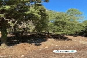 Picture of listing #324227632. Land for sale in Draguignan
