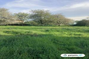 Picture of listing #324228455. Land for sale in Nanteuil