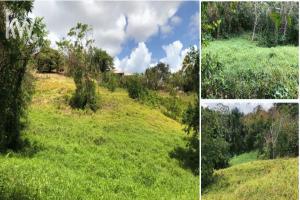 Picture of listing #324315397. Land for sale in Le Robert