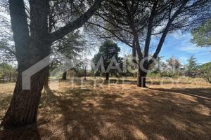 Picture of listing #324423270. Land for sale in Saïx