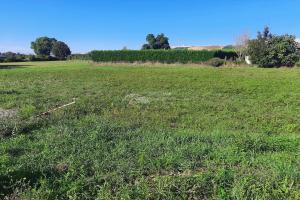 Picture of listing #324484825. Land for sale in Champagne