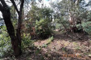 Thumbnail of property #324489896. Click for details