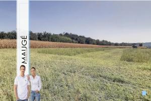 Picture of listing #324507240. Land for sale in Chaponnay