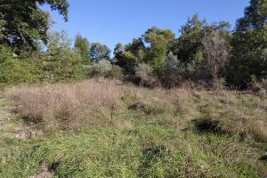 Picture of listing #324514688. Land for sale in Digne-les-Bains