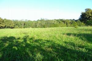 Picture of listing #324524824. Land for sale in Horsarrieu
