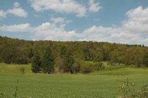 Picture of listing #324529659. Land for sale in Inaumont
