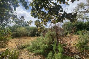 Picture of listing #324598203. Land for sale in Plaisance-du-Touch