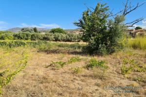 Picture of listing #324642981. Land for sale in Montpeyroux