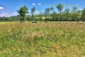 Picture of listing #324648973. Land for sale in Saint-Jean-de-Côle