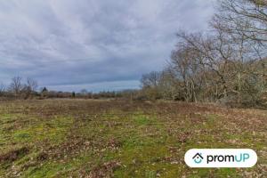 Picture of listing #324809629. Land for sale in Montcaret