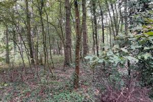 Picture of listing #324840392. Land for sale in Lamorlaye