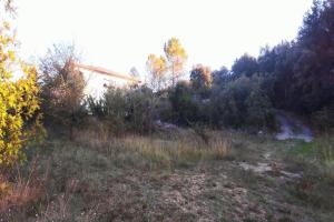 Thumbnail of property #324878098. Click for details