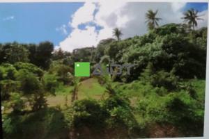 Picture of listing #324923236. Land for sale in Huahine