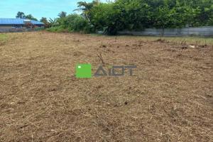 Picture of listing #324923238. Land for sale in Taravao