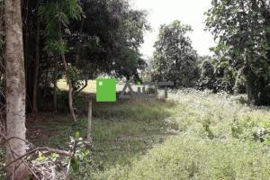 Picture of listing #324923241. Land for sale in Taputapuatea