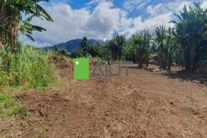 Picture of listing #324923243. Land for sale in Papara