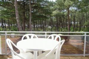 Picture of listing #324989855. Appartment for sale in Les Mathes