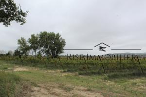 Picture of listing #325020739. Land for sale in Peyriac-de-Mer