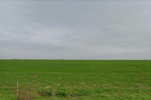 Picture of listing #325078951. Land for sale in Saint-Xandre