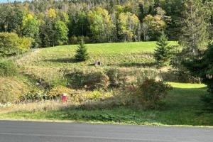 Picture of listing #325082809. Land for sale in Bois-d'Amont
