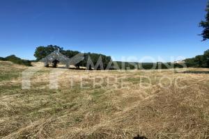 Picture of listing #325159267. Land for sale in Pujaudran