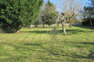 Picture of listing #325220904. Land for sale in Lalande-de-Pomerol