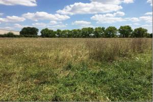 Picture of listing #325236523. Land for sale in Matha