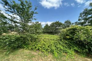 Picture of listing #325342399. Land for sale in Brains-sur-Gée