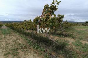 Picture of listing #325405070. Land for sale in Peyriac-de-Mer