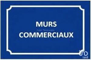 Photo de l'annonce nº 325480959. Commerce à vendre sur Avernes-Saint-Gourgon