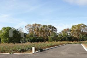 Picture of listing #325502824. Land for sale in Lacroix-Falgarde