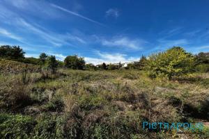 Picture of listing #325546253. Land for sale in Villié-Morgon