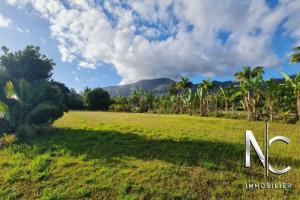 Picture of listing #325576112. Land for sale in Païta