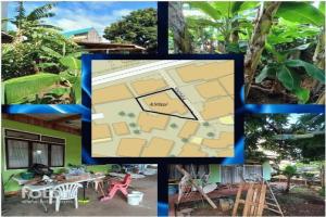 Picture of listing #325577673. Land for sale in Papeete