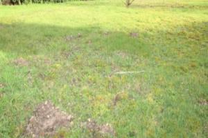 Picture of listing #325593015. Land for sale in Villiers-Adam