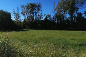 Picture of listing #325610276. Land for sale in Mallemort
