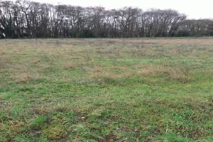 Picture of listing #325633378. Land for sale in Bonnetan