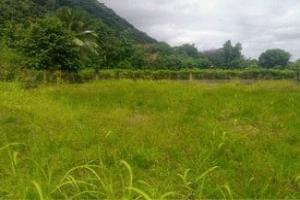 Picture of listing #325636770. Land for sale in Papara