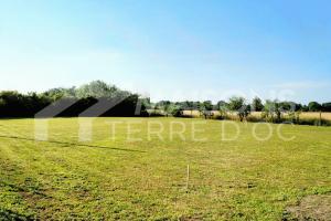 Picture of listing #325675572. Land for sale in Revel
