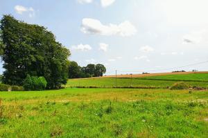 Photo de l'annonce nº 325913290. Terrain à vendre sur Angerville-l'Orcher