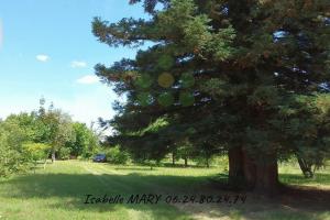 Picture of listing #325913666. Land for sale in Chabris