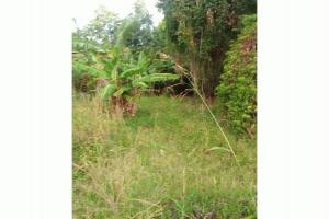 Thumbnail of property #325913927. Click for details