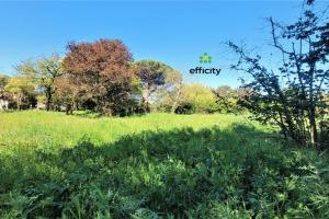 Picture of listing #325916457. Land for sale in Noé