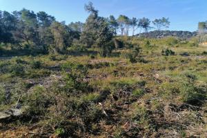 Picture of listing #325916880. Land for sale in Aigaliers