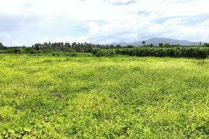 Picture of listing #326022633. Land for sale in Taravao