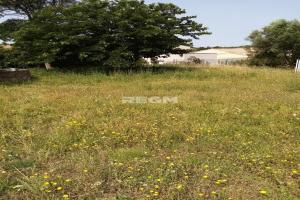 Picture of listing #326030925. Land for sale in Uchaux