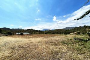 Picture of listing #326041737. Land for sale in Païta