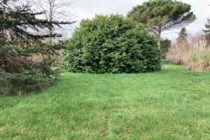Picture of listing #326106949. Land for sale in Saint-Selve