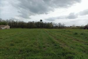Picture of listing #326106951. Land for sale in Brach