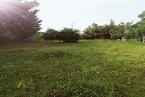 Picture of listing #326112828. Land for sale in Beaumont-de-Lomagne